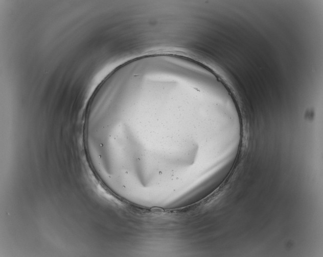 X0000115011102200911161554