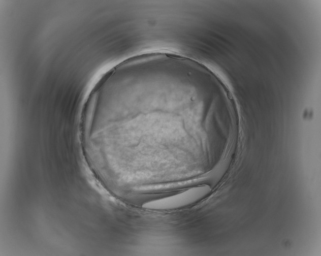 X0000115011104200911161554