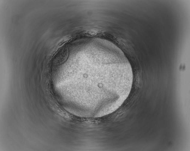 X0000115011105200911161554