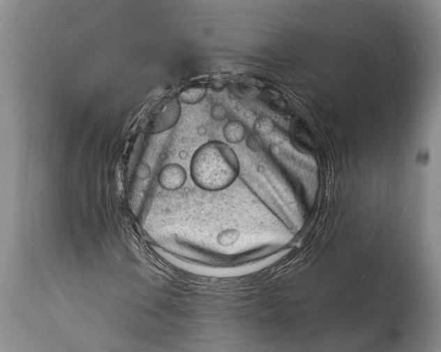 X0000115011106200911161554