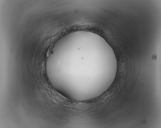 X0000115011109200911161554