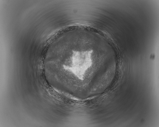 X0000115011110200911161554