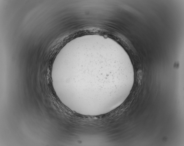 X0000115011111200911161554