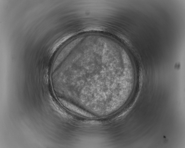 X0000115011113200911161554