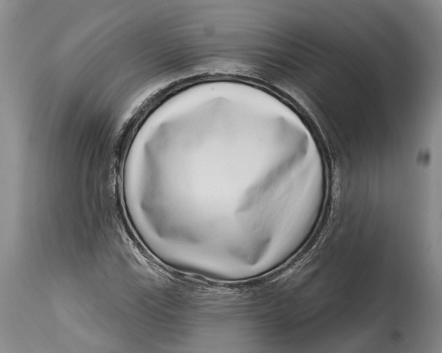 X0000115011115200911161554