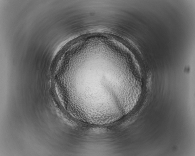 X0000115011117200911161554