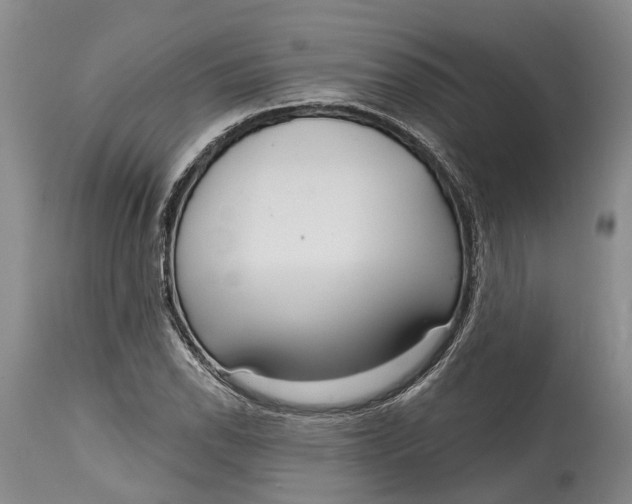 X0000115011118200911161554