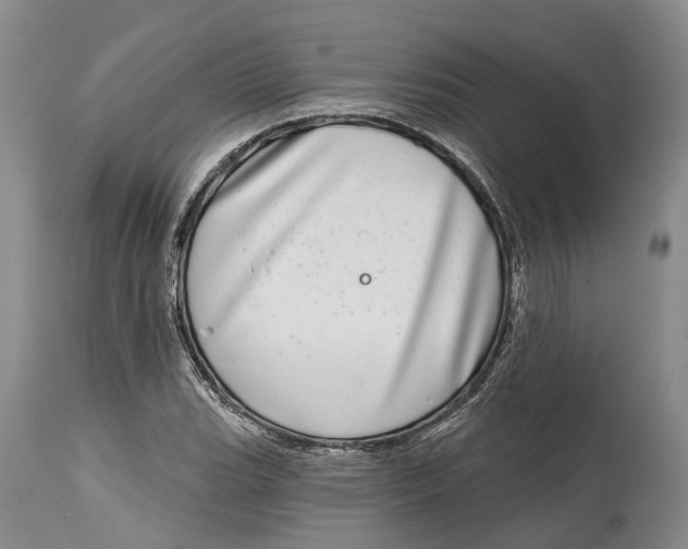 X0000115011119200911161554