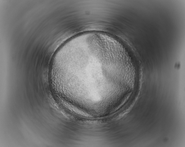 X0000115011121200911161554