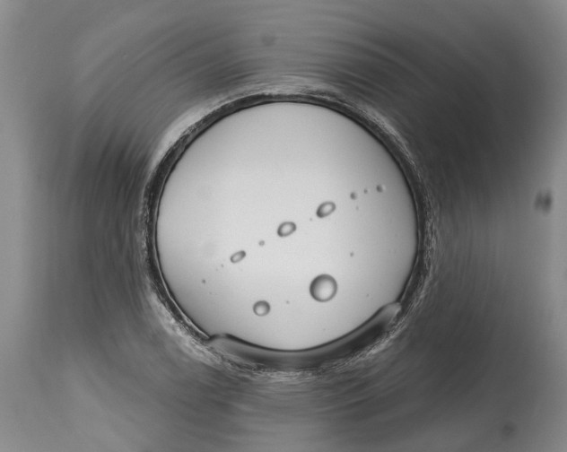 X0000115011122200911161554