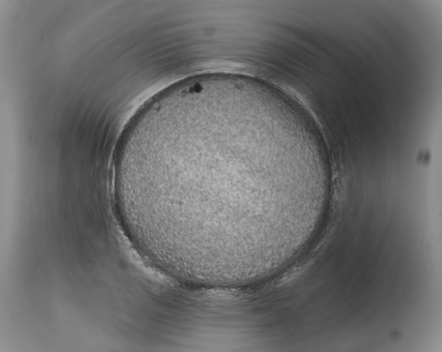 X0000115011125200911161554