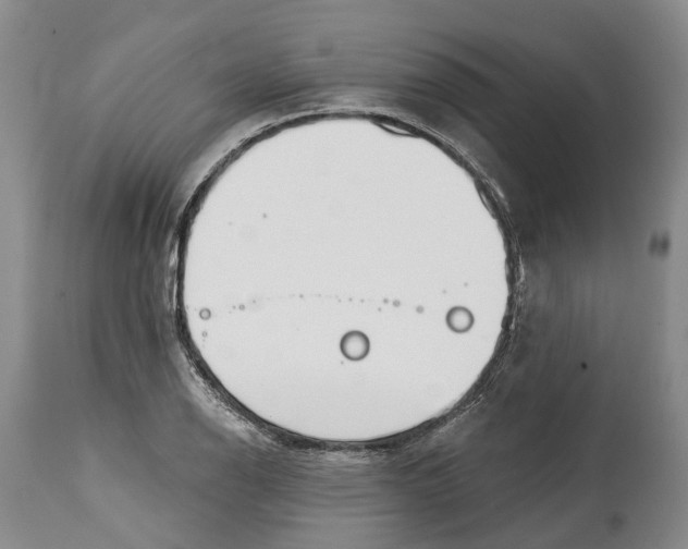 X0000115011126200911161554
