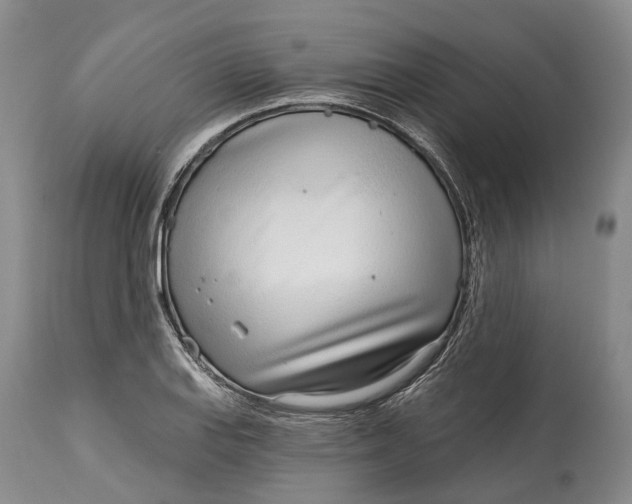 X0000115011127200911161554