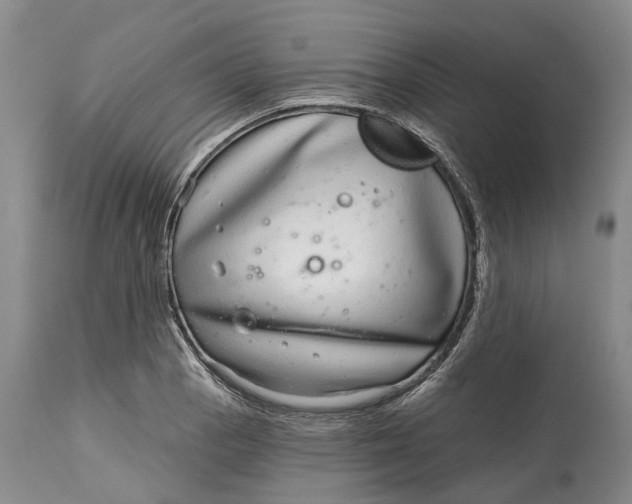 X0000115011129200911161554