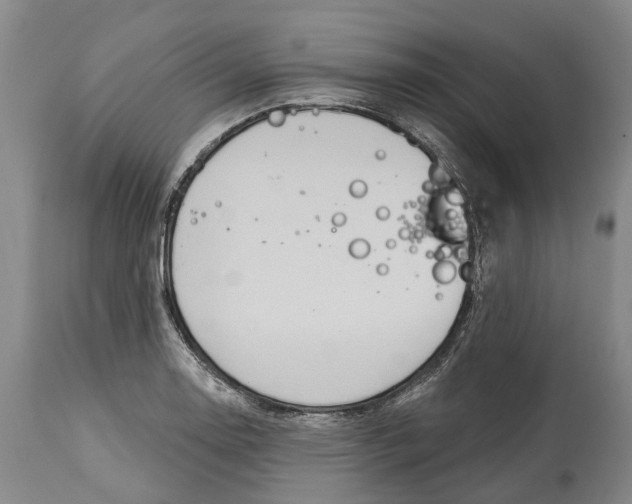 X0000115011130200911161554