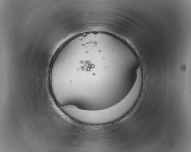 X0000115011134200911161554