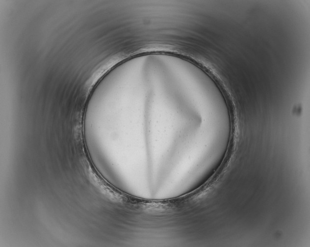 X0000115011137200911161554