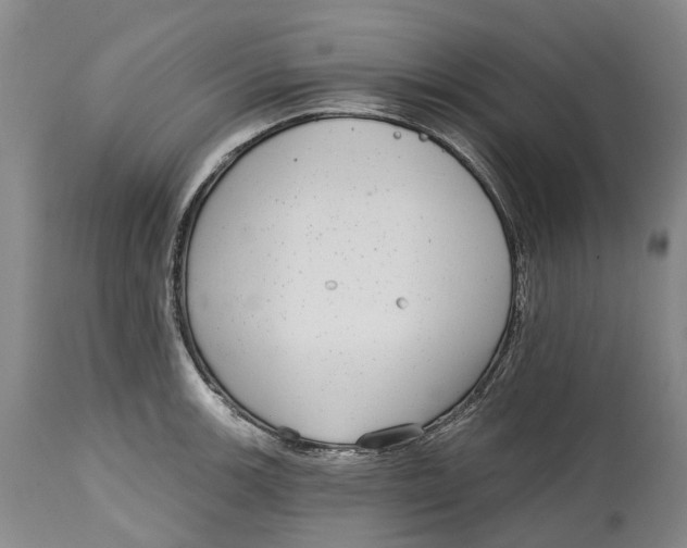 X0000115011139200911161554