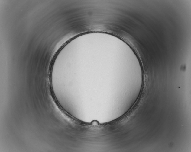 X0000115011141200911161554