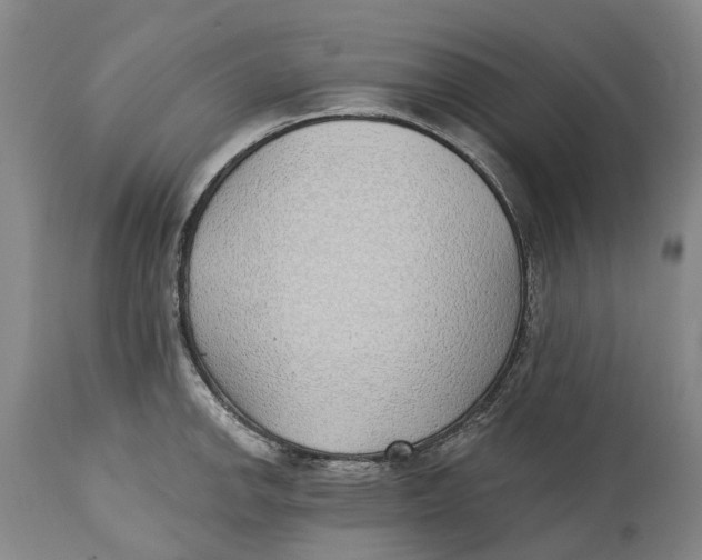 X0000115011142200911161554