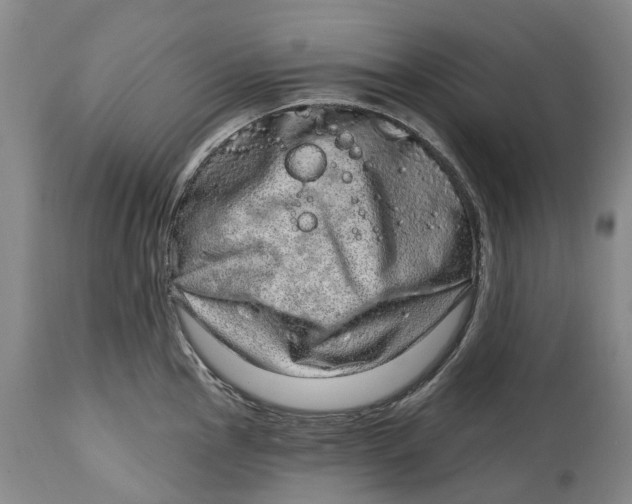 X0000115011145200911161554