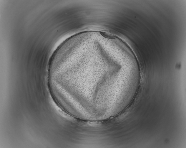 X0000115011147200911161554