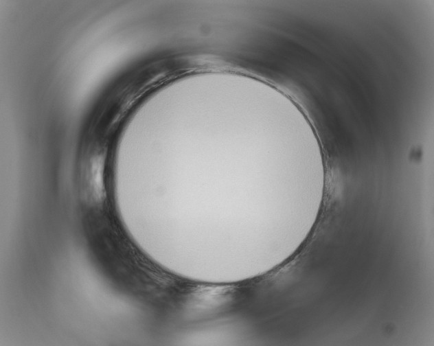 X0000115011150200911161554