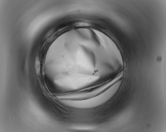 X0000115011151200911161554