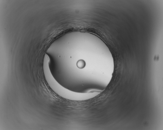 X0000115011153200911161554