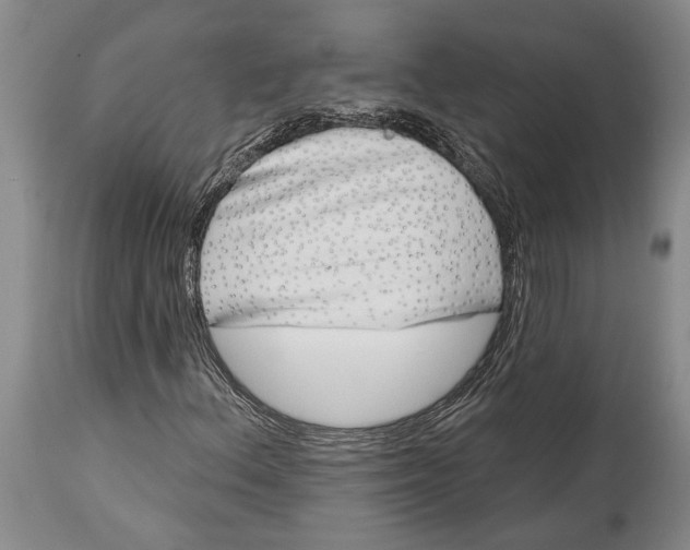X0000115011156200911161554