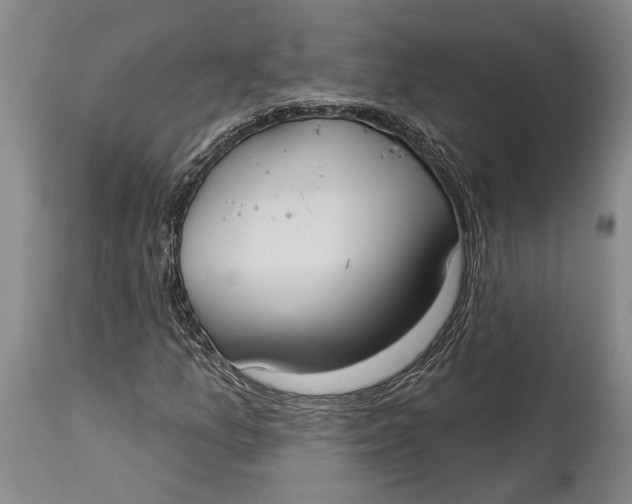 X0000115011157200911161554