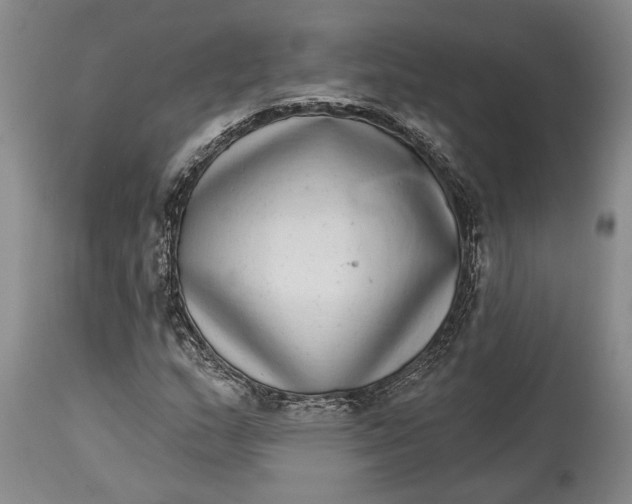 X0000115011159200911161553