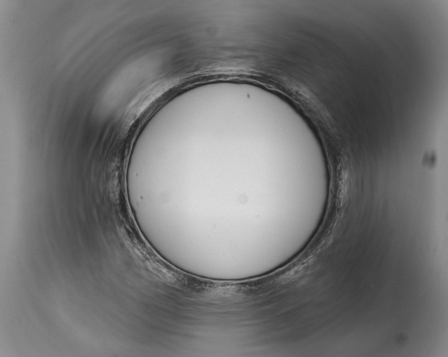 X0000115011162200911161553