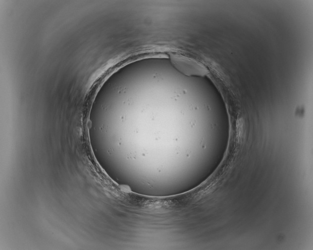 X0000115011165200911161553