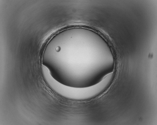 X0000115011167200911161553