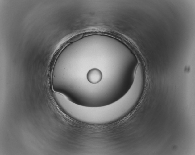 X0000115011168200911161553