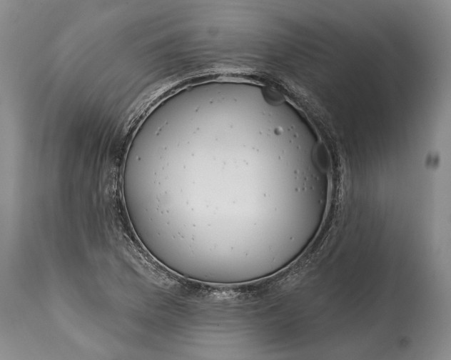 X0000115011169200911161553