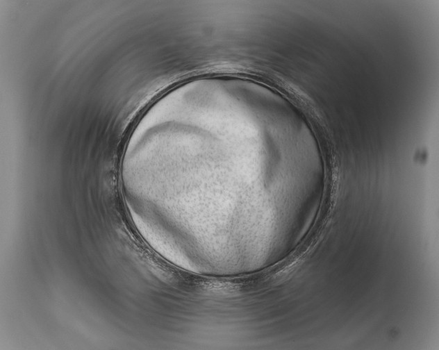 X0000115011170200911161553