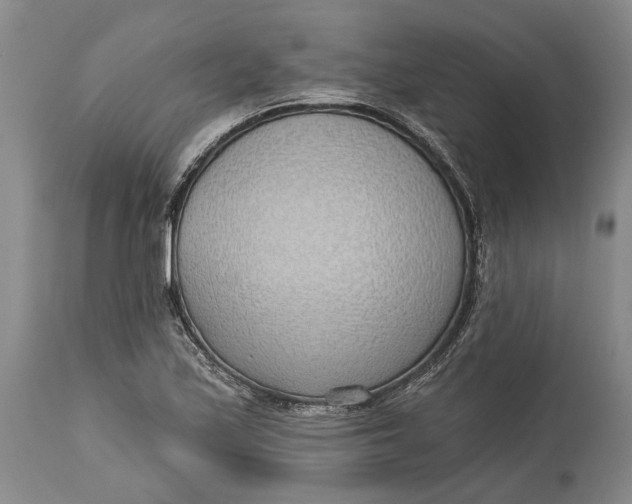 X0000115011171200911161553