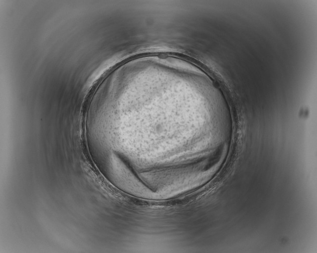 X0000115011173200911161553