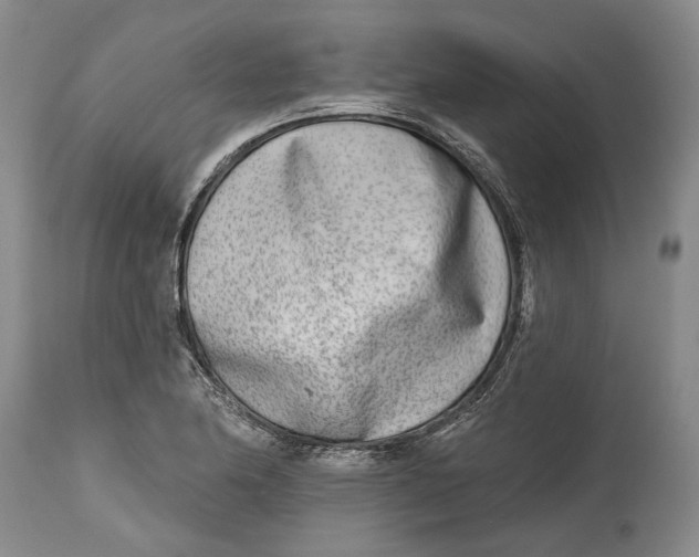 X0000115011174200911161553