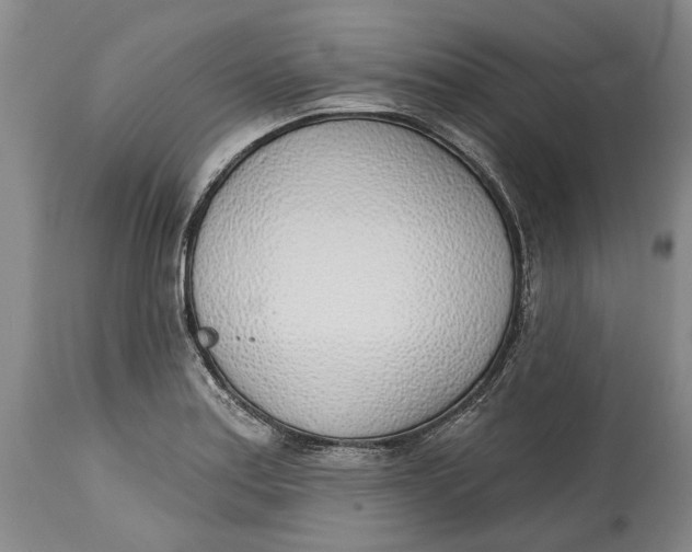 X0000115011179200911161553