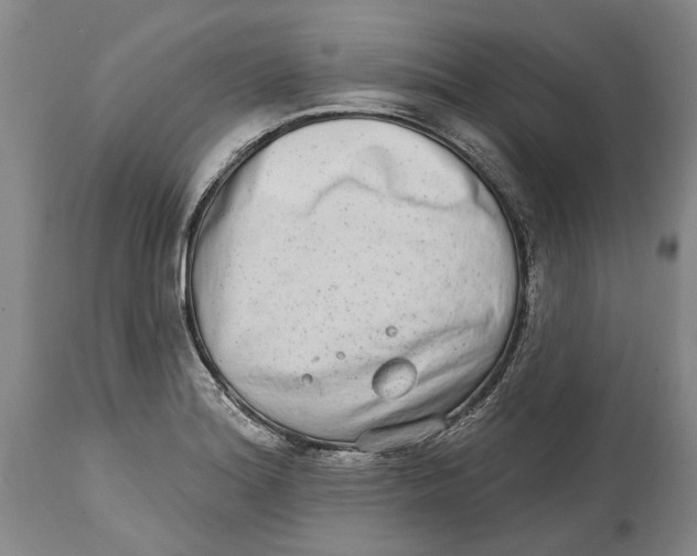 X0000115011180200911161553