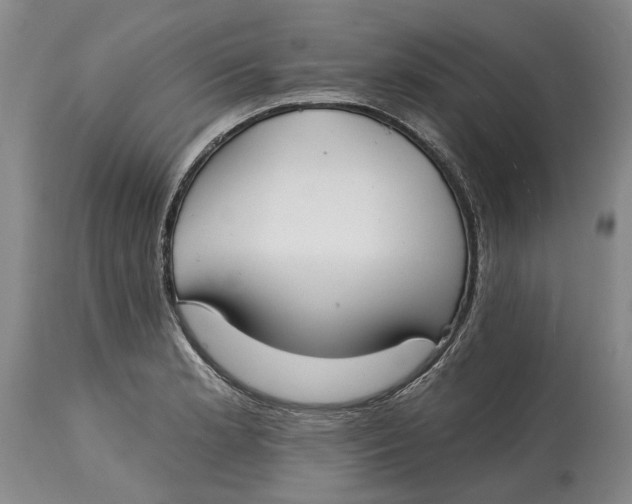 X0000115011181200911161553