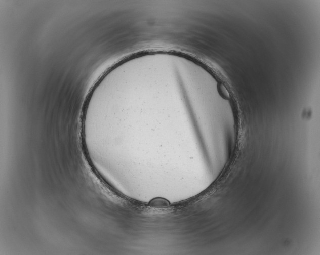 X0000115011183200911161553