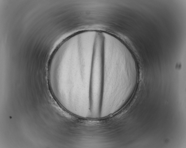 X0000115011184200911161553