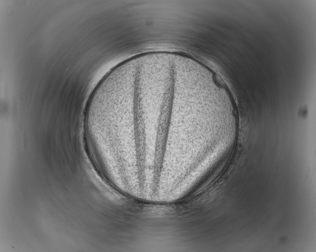 X0000115011187200911161553