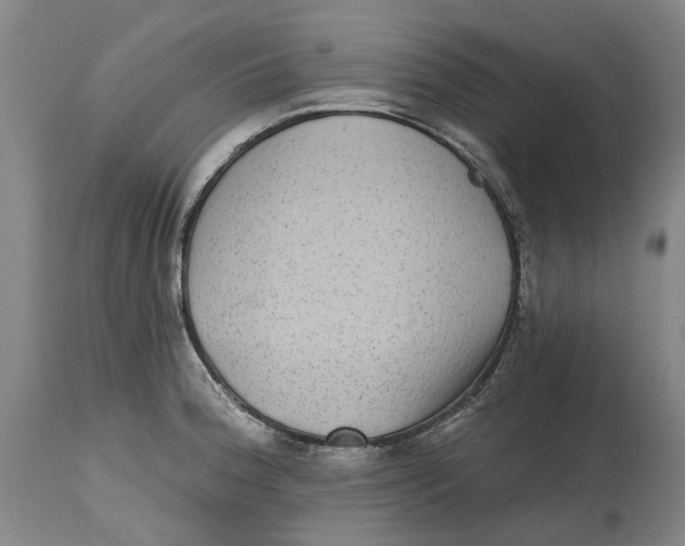 X0000115011188200911161553