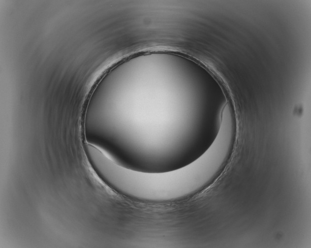 X0000115011189200911161553