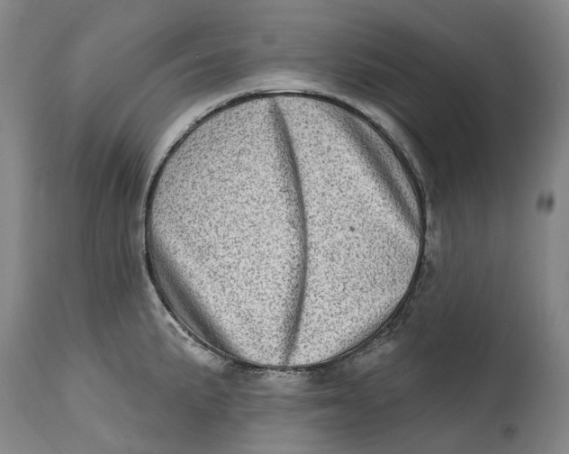 X0000115011191200911161553